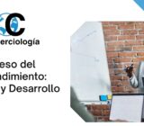 El Proceso del Emprendimiento: Etapas y Desarrollo