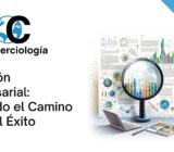 Creación Empresarial: Iniciando el Camino hacia el Éxito