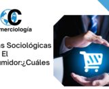 Teorías Sociológicas Sobre El Consumidor:¿Cuáles Son?